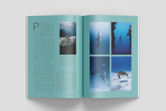 A5 Wildlife Magazine