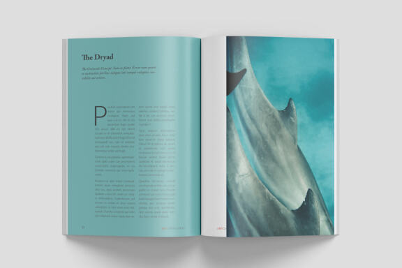 A5 Wildlife Magazine
