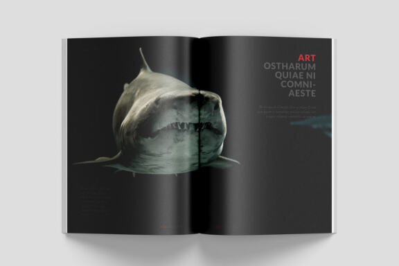 A5 Wildlife Magazine