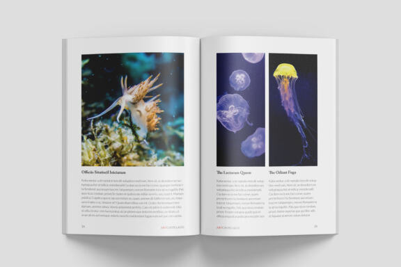 A5 Wildlife Magazine