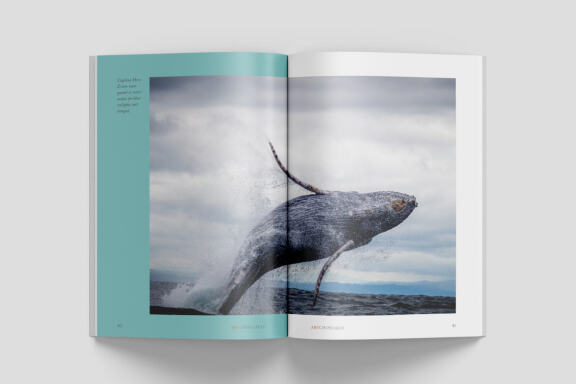 A5 Wildlife Magazine