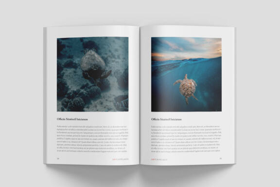 A5 Wildlife Magazine