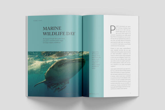 A5 Wildlife Magazine