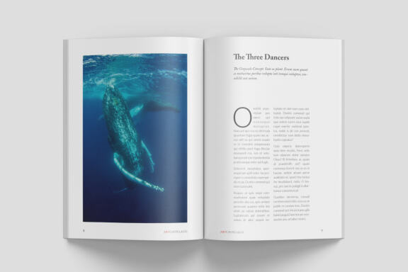 A5 Wildlife Magazine