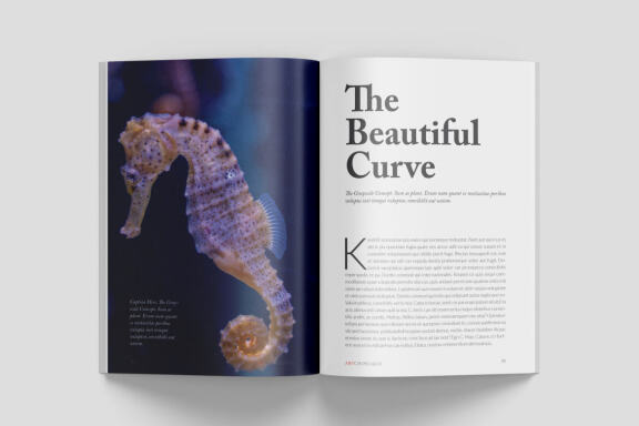 A5 Wildlife Magazine