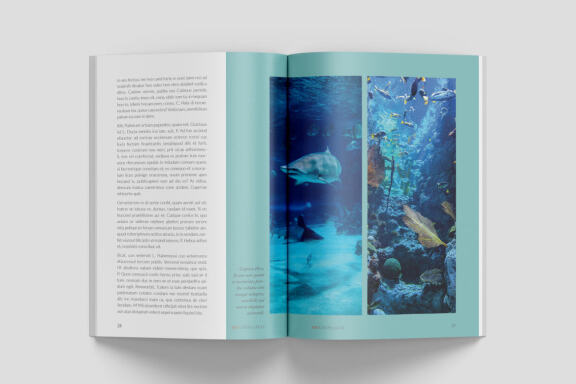 A5 Wildlife Magazine