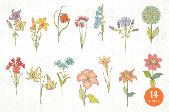 Hand Drawn Flowers Vector Illustrations Vol. 1