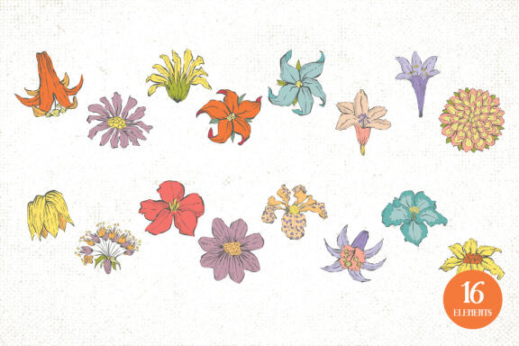 Hand Drawn Flowers Vector Illustrations Vol. 1
