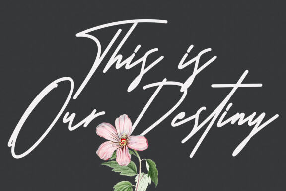 Architaris Signature Font