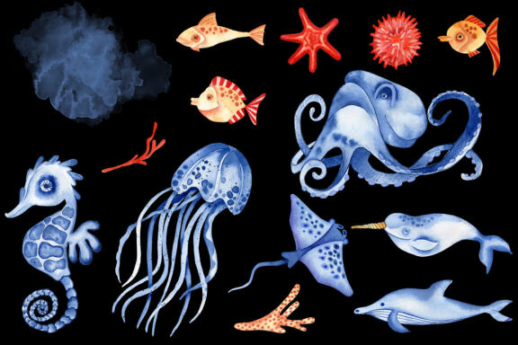 Sea animals and fish clipart