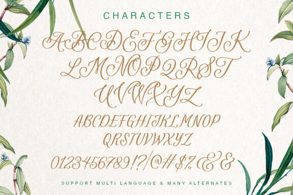  Revisella Typeface