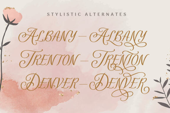  Revisella Typeface