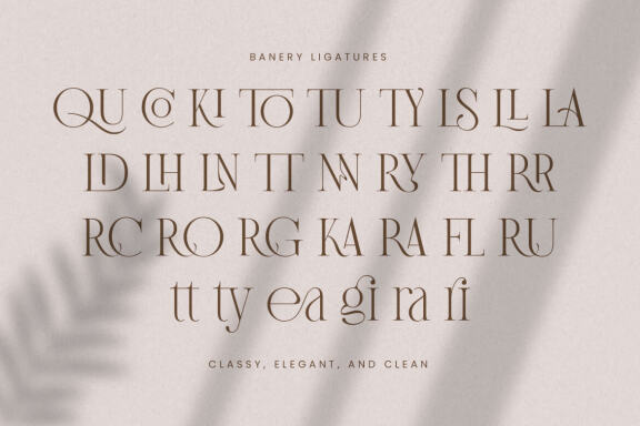 Banery - Modern Serif