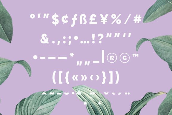 Gania Display Typeface