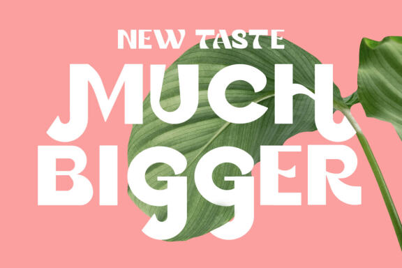 Gania Display Typeface