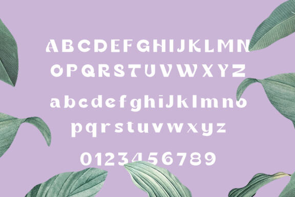 Gania Display Typeface