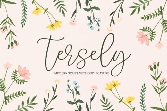 Tersely - a Modern Script