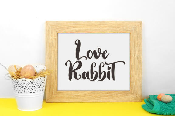 Love Rabbit