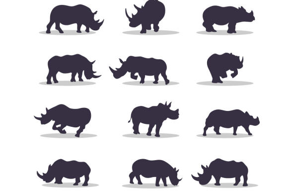 Rhino Silhouette Collection