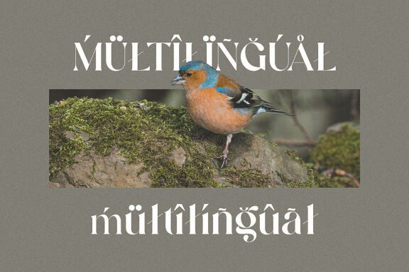 Ringreat Decorative Serif Font