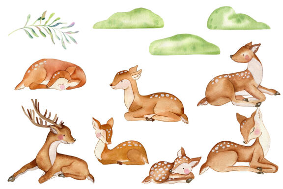 Deer watercolor clipart. Mom and baby. Forest animals