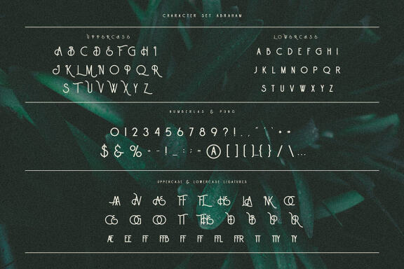 Abraham Vintage Monoline Font