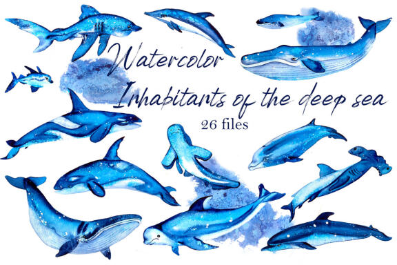 Watercolor Ocean Clipart, Cute sea animals png