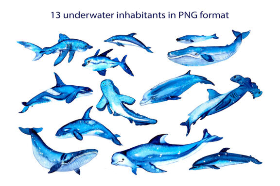 Watercolor Ocean Clipart, Cute sea animals png