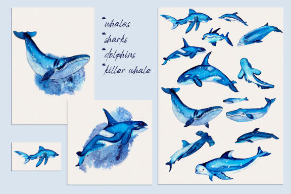Watercolor Ocean Clipart, Cute sea animals png