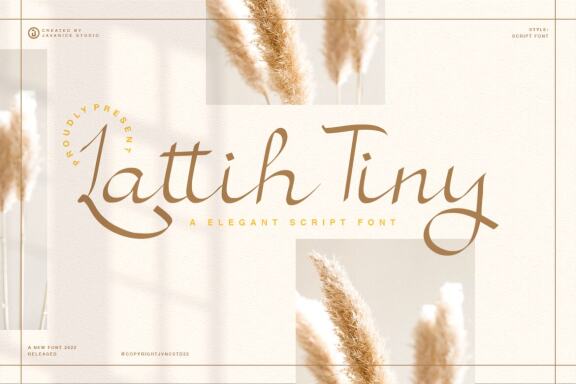 Lattih Tiny