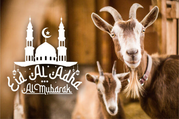 Eid al adha mubarak SVG bundle - Eid al adha quotes bundle SVG, EPS, DXF, PNG 