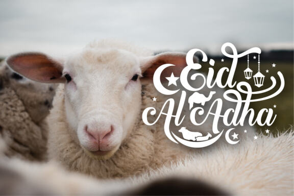 Eid al adha mubarak SVG bundle - Eid al adha quotes bundle SVG, EPS, DXF, PNG 