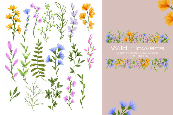 Wild Flowers Collection