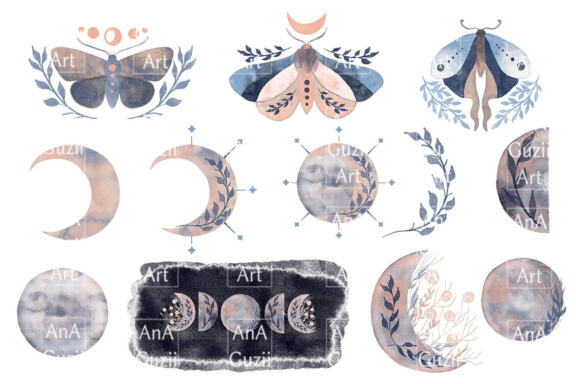 Collection of Moon & Moth