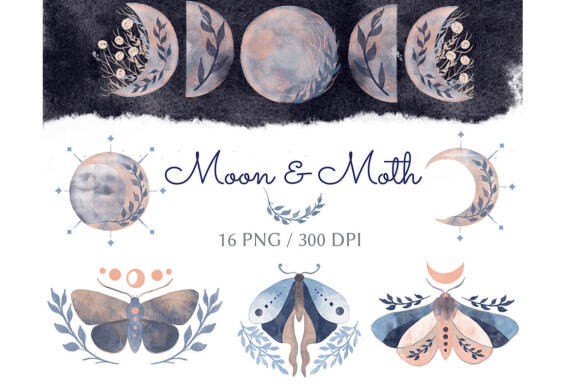 Collection of Moon & Moth