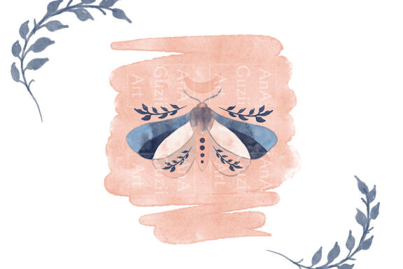 Collection of Moon & Moth