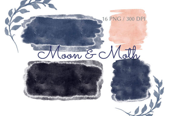 Collection of Moon & Moth