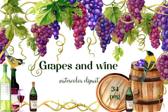 Grapes and wine watercolor clipart