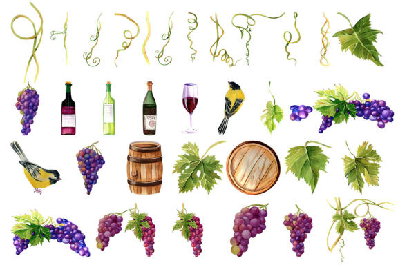Grapes and wine watercolor clipart
