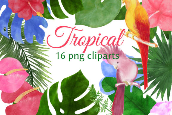 Watercolor Tropical Clipart