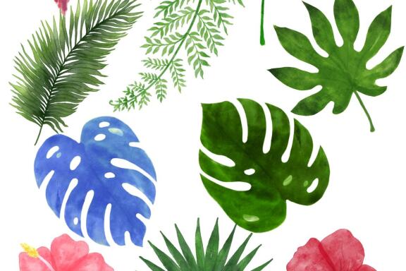 Watercolor Tropical Clipart