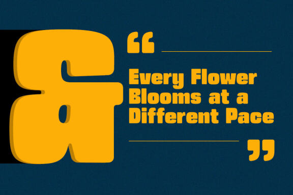 Urban Space - Heavy Sans Serif