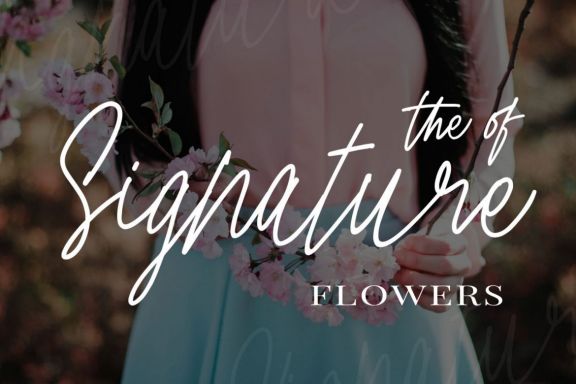 Cherry Blossom Signature