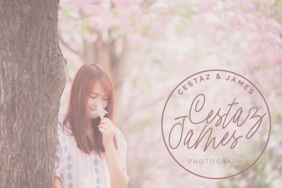 Cherry Blossom Signature
