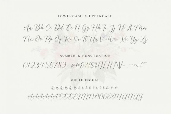 The Britney - Elegant Script Font