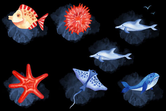 Watercolor Sea World Sublimation Bundle