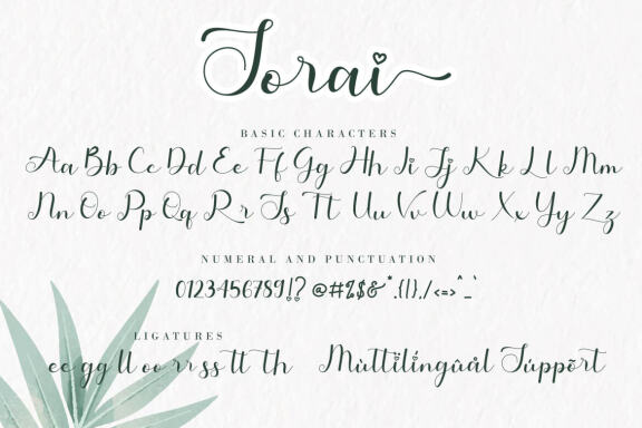 Sorai FREE Script Font