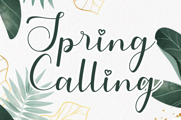 Sorai FREE Script Font
