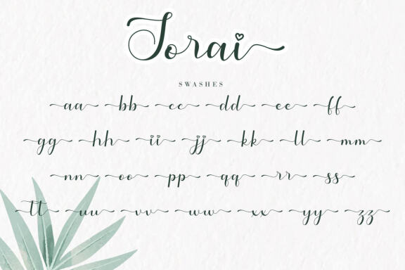 Sorai FREE Script Font