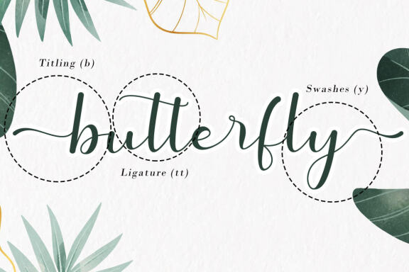 Sorai FREE Script Font